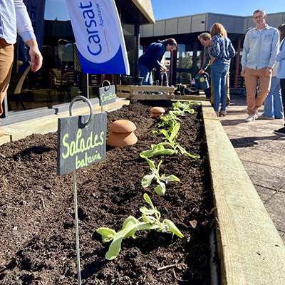 Potager solidaire de la Carsat Aquitaine